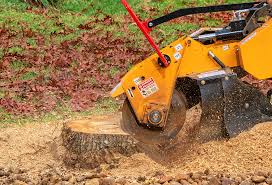 Best Emergency Tree Removal  in Narrows, VA