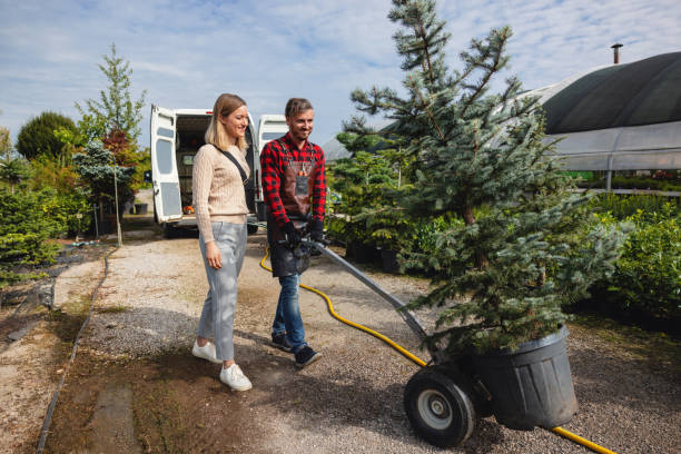 Best Lawn Watering Services  in Narrows, VA
