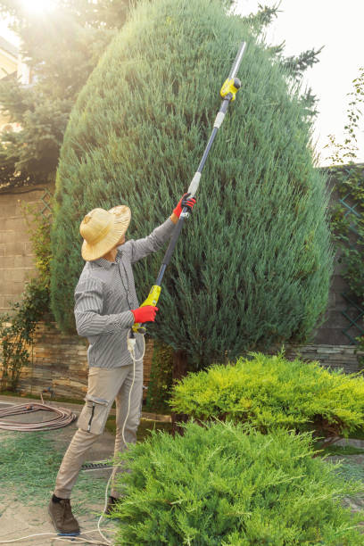 Best Firewood Processing and Delivery  in Narrows, VA